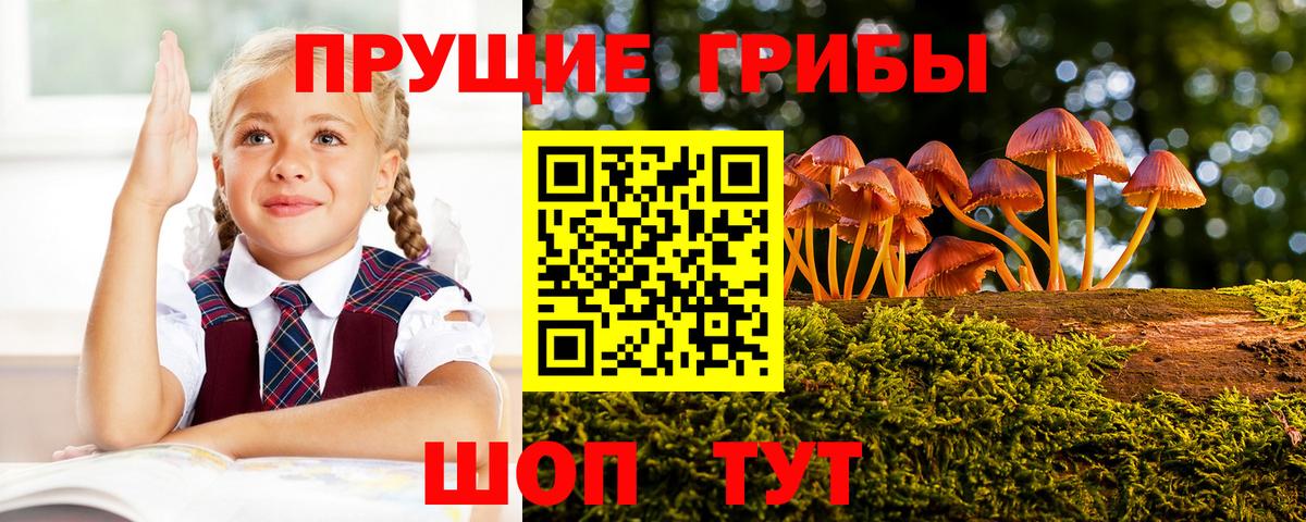 Галлюциногенные грибы Magic Shrooms  Вход с VPN  Унеча 